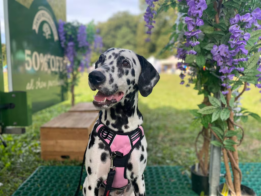 WhatsApp-Image-2021-09-20-at-17.58.11